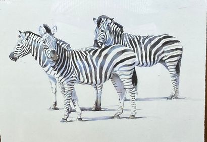Print representing three zebras at rest

Bamboo...