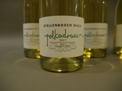 null 1 carton de 6 bouteilles - Bulles Blanc de Blanc Polkadraai Stellenbosch Hills...