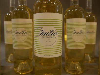 null 1 carton de 12 bouteilles - Cuvée Initio blanc Sauvignon Bordeaux 2016.