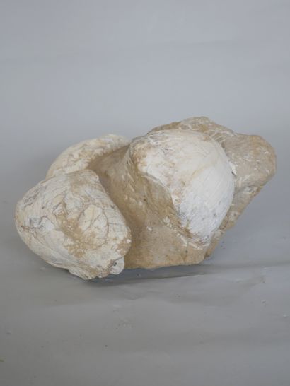 null Group of two fossilized turtles.

Provenance : China.

35 x 35 cm approximately.

(One...