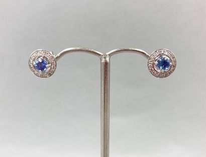 null Pair of earrings in 18k white gold each adorned with a round sapphire surrounded...