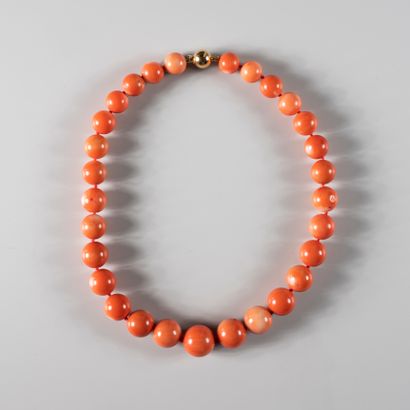 null Necklace adorned with dyed coral beads from 12 to 17mm in diameter. Clasp in...