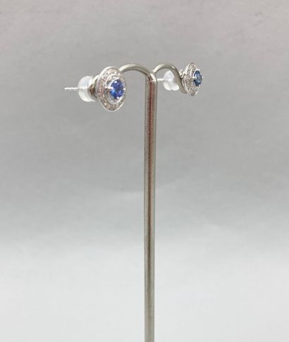null Pair of earrings in 18k white gold each adorned with a round sapphire surrounded...