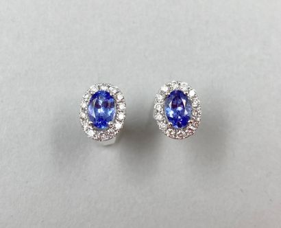 null Pair of 18k white gold oval earrings set with 2 oval tanzanites surrounded by...