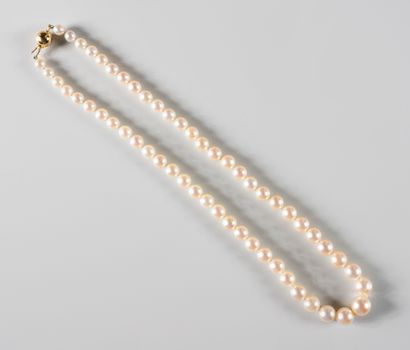 null Necklace of cultured pearls of a diameter of 5 to 10mm. Ball clasp in 18k yellow...