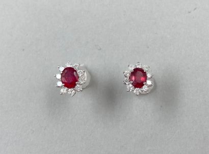 null Pair of 18k white gold oval earrings set with 2 oval cut treated rubies surrounded...
