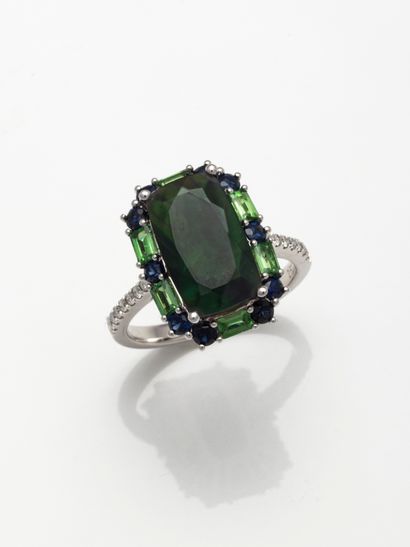 null 
18k white gold ring centered on an emerald-cut green opal of about 3cts in...