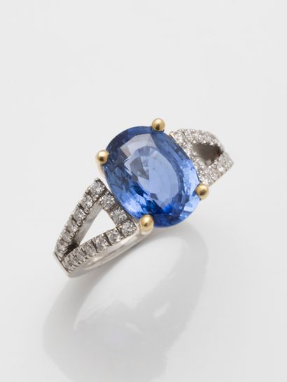 null 
Ring in 18k white and yellow gold surmounted by a beautiful Ceylon sapphire...