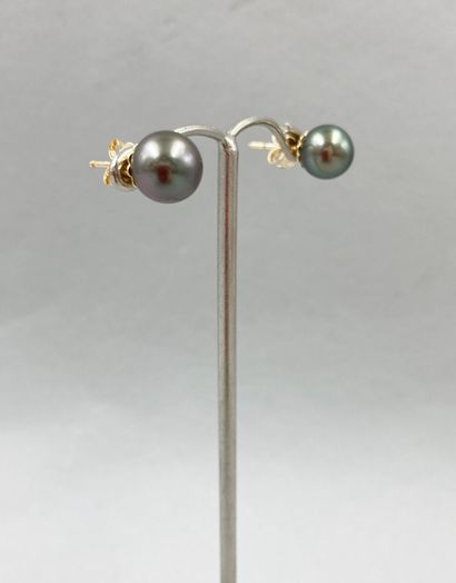 null Pair of 18k yellow gold earrings set with a Tahitian cultured pearl of 8.5/9...