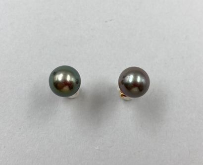 null Pair of 18k yellow gold earrings set with a Tahitian cultured pearl of 8.5/9...