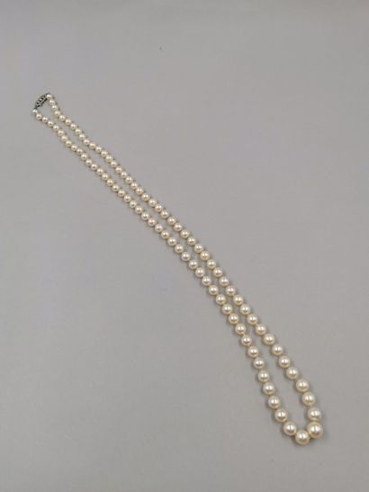 null Necklace of cultured pearls in fall, clasp in white gold 18k openwork decorated...