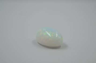 Opale ovale en cabochon sur papier de 25...
