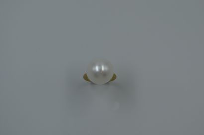 null Ring in brushed yellow gold 18k surmounted by a cultured pearl Acoya of a diameter...