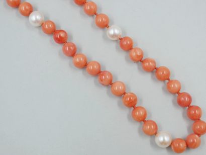 Collier composé de perles de corail peau...
