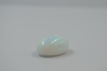 null Opale ovale en cabochon sur papier de 25cts