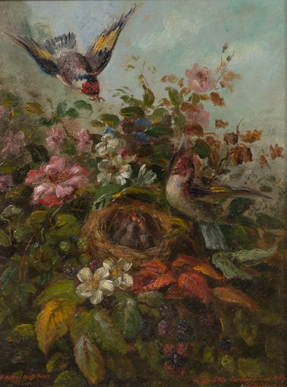 null John Lewis SCHONBORN (1852-1931)
Nid d'oiseaux et fleur, 1877
Huile sur carton,...