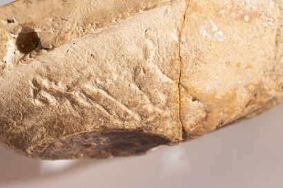 null PROCHE-ORIENT (?), IIIè millénaire avant J.-C.
Sujet en terre cuite représentant...