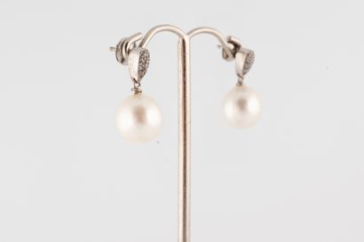 null Paire de pendants d'oreilles en or blanc 18k ornés de perles de cultures d'un...