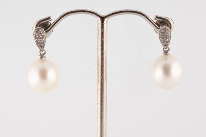 null Paire de pendants d'oreilles en or blanc 18k ornés de perles de cultures d'un...