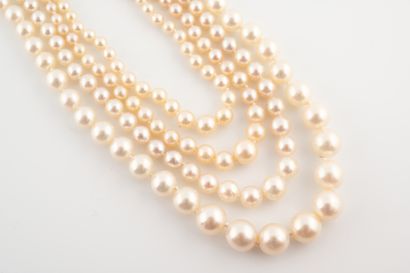 null Colliers de perles quatre rangs de perles de culture en chute d'un diamètre...