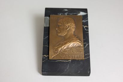 null G PRUDHOMME
Médaille commémorative en bronze à l'effigie et titrée Louis Pasteur,...