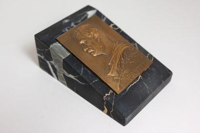 null G PRUDHOMME
Médaille commémorative en bronze à l'effigie et titrée Louis Pasteur,...