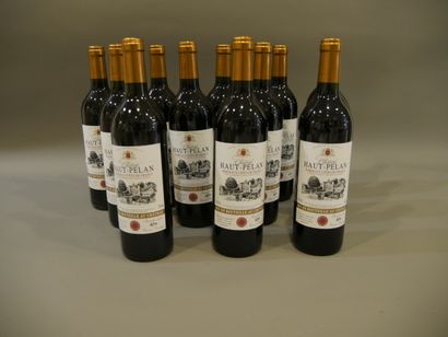 null 1 caisse de 12 bouteilles de vin - Château Haut Pelan 1994 Côte de Franc Cuvée...