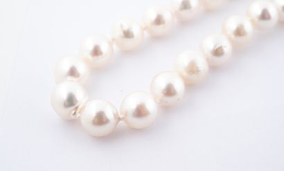 Collier de perles de culture Akoya du Japon...