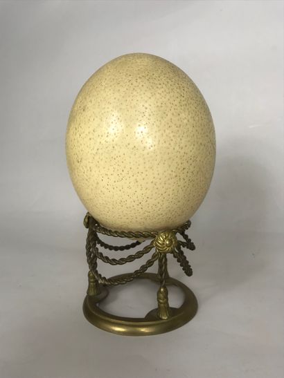 Ostrich (Struthio camelus) egg from a farm,...