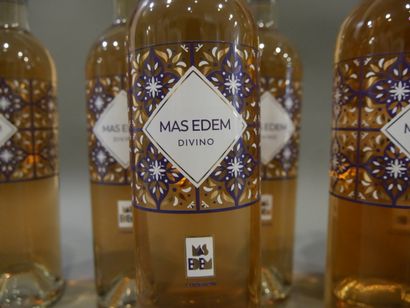 null Domaine Mas Edem cuvée Divino 2018 en Rosé
1 carton de 6 bouteilles de vin