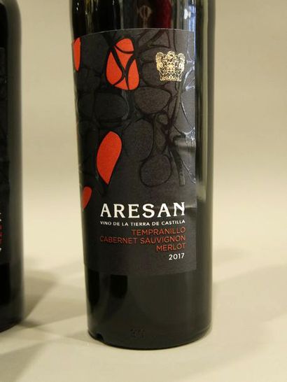 null Domaine Terra de CASTILLA ARESAN 2017 Tempranillo, Cabernet Sauvignon et Merlot
1...