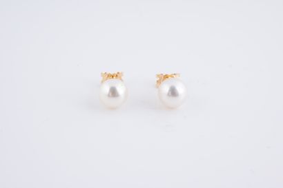 null Pair of 18k yellow gold earrings set with Akoya cultured pearls from Japan,...