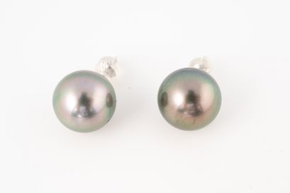 null Pair of 14k white gold earrings set with a grey Tahitian pearl of about 12.5mm...