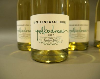 null Bulles Blanc de Blanc Polkadraai Stellenbosch Hills 2017 100% Sauvignon.
1 carton...