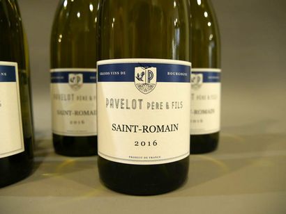null Bourgogne Saint Romain Pavelot fils Hugues 2016
1 carton de 6 bouteilles