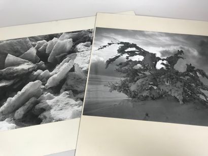 null Jean-Gérard SECKLER (1924-2015, Alfortville)
Lot of 5 photographs of snowy landscapes...