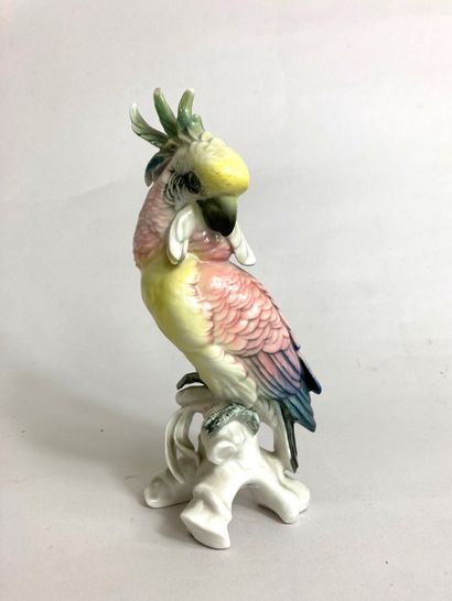 Germany, 20th century.
Parrot in polychrome...