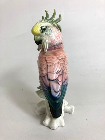 null Germany, 20th century.
Parrot in polychrome porcelain. 
Height: 19,2 cm. 
(Small...