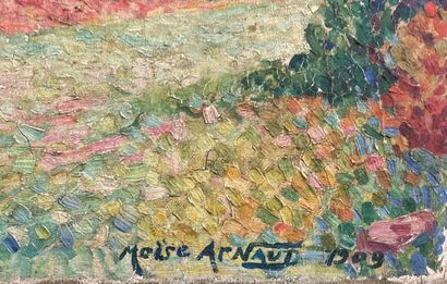 null Moise ARNAUD (1881-?) 
Payasage aux champs
Huile sur toile signée en bas à droite...