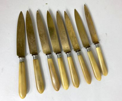 null THIEBAUT - ASTRUC, in Lille
Eight fruit knives, the handles in horn and the...