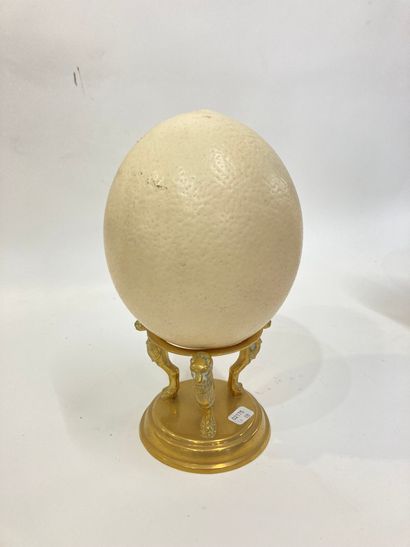 null Ostrich egg (Struthio camelus) from breeding, on a base decorated with 3 stylized...