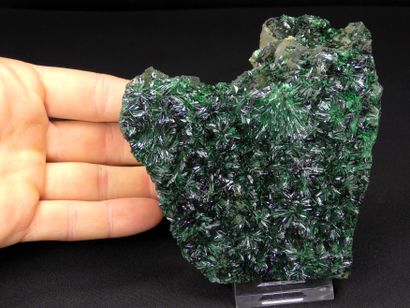 null An atacamite from La Farola, Chile. 
Green striped crystals on a plate of 11...