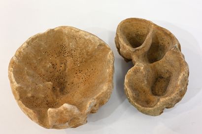 null Two Baril sponges, from Madagascar.