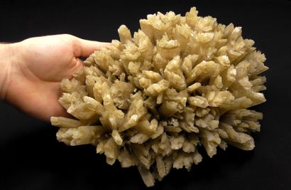 null Large bouquet of gypsum crystals from Australia. 
A beautiful classic of 27...