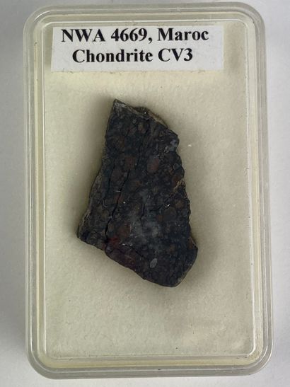 null NWA 4669
Chondrite carbonée CV3. Seulement 370g connus. Plaque de 6,7g et d’une...