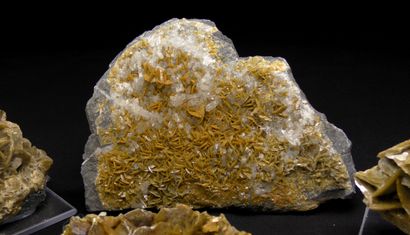null Set of minerals from the coal mines of La Mure d'Isère. 
Three siderites and...