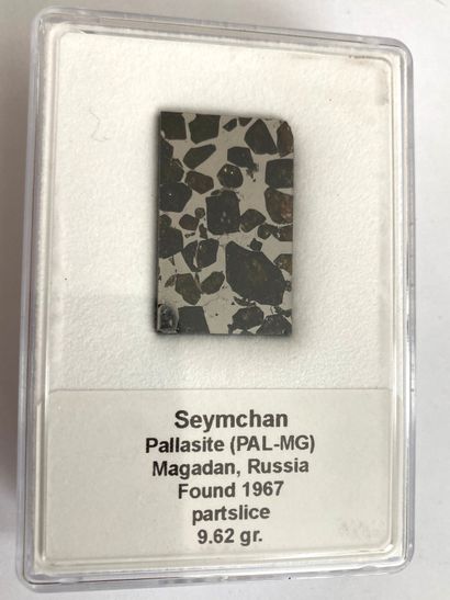 null Seymchan
Pallasite découverte près de Magadan en Russie en 1967. 
Plaque polie...