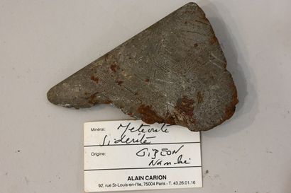 null Meteorite Siderite 
Gibeon - Namibia