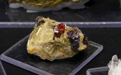 null Set of minerals from the coal mines of La Mure d'Isère. 
Four sphalerites, one...