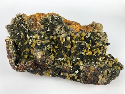 null Wulfenite 
From the Los Lamentos mine in Mexico. 
Plate covered with yellow...